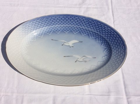 Bing & Gröndahl
Seagull mit Goldrand
Ovales Gericht