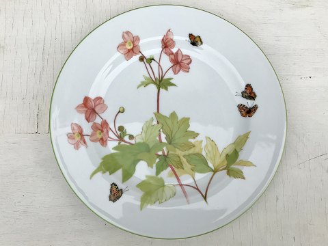 Mads Stage
butterfly
Dinner Plate
* 125kr