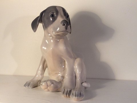 Royal Copenhagen
Pointer Puppy
# 259
* 700 DKK