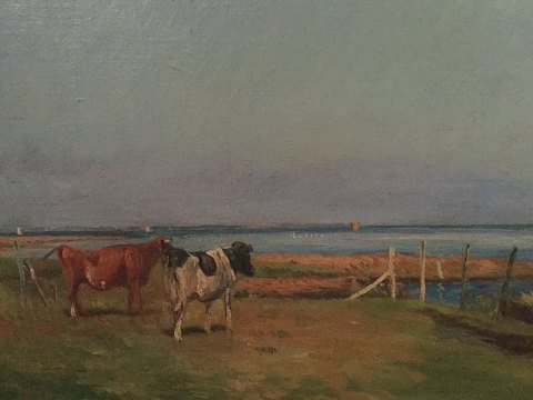 Niels Christiansen: Two cows on the beach bed.
1200,-DKK