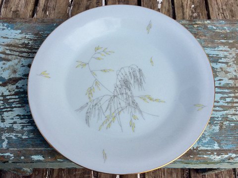 Bing & Grondahl
Venus
Dinner plate
#25
* 100 DKK