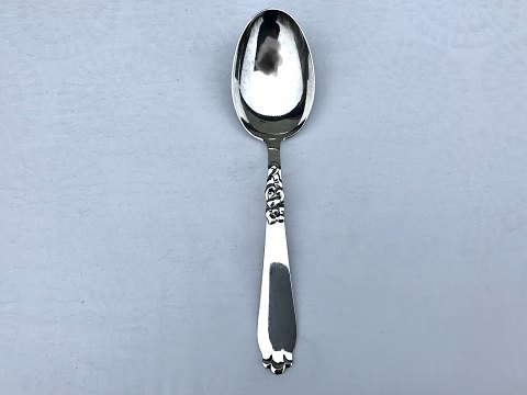 Conny
silver Plate
Serving spoon
* 125kr