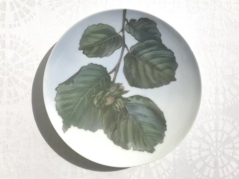 Royal Copenhagen
Platte med hasselgren
#71/1120
*600kr