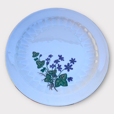 Firkløveren
Carl Von Linné
Cake dish
*DKK 75