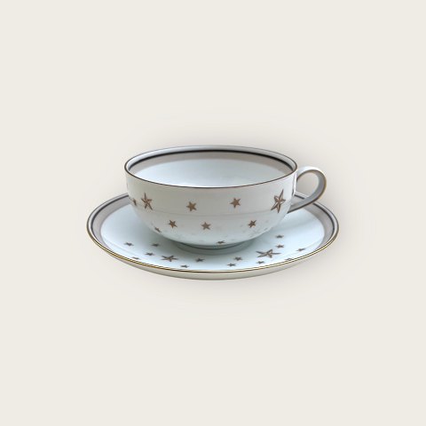 Bing&Grøndahl
The Milky Way
Teacup
#108
*DKK 150