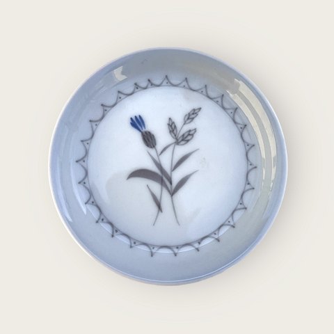Bing & Grondahl
Cornflower
Small plate
#30
*DKK 30