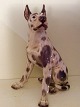 Dahl Jensen
Great Dane
# 1111
* 1500 DKK