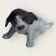 Royal Copenhagen
Pointer puppy
#1311
*DKK 475