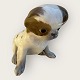 Royal Copenhagen
Pekingeser hvalp
# 1453/448
650kr